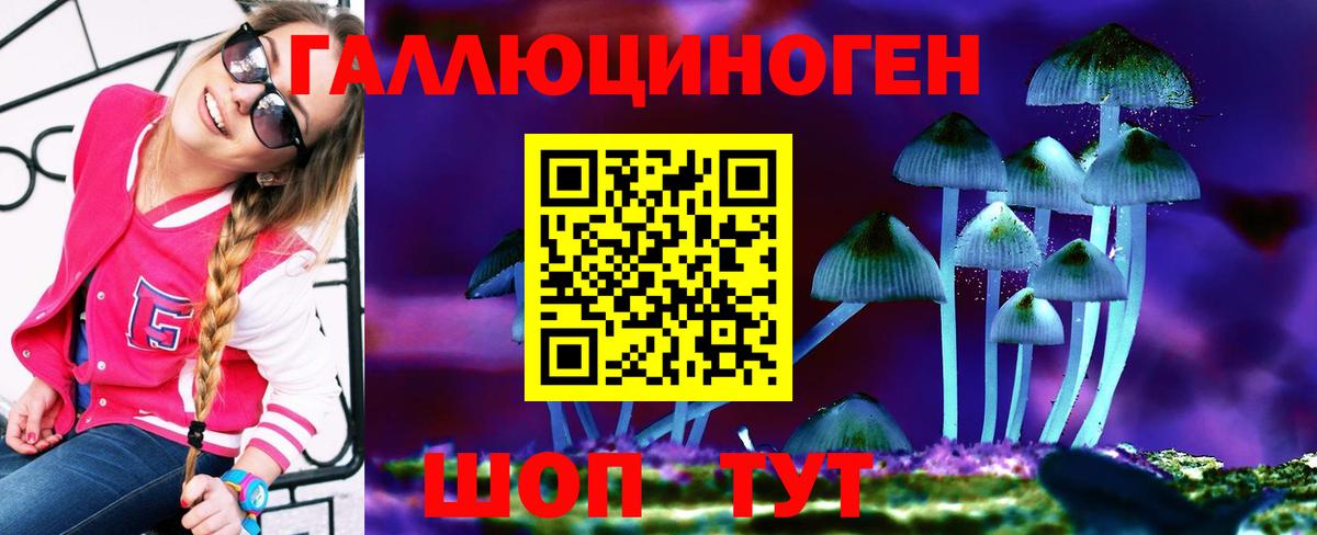 Орехово-Зуево  Псилоцибиновые грибы GOLDEN TEACHER  Вход с VPN  Псилоцибиновые грибы ЛСД 
